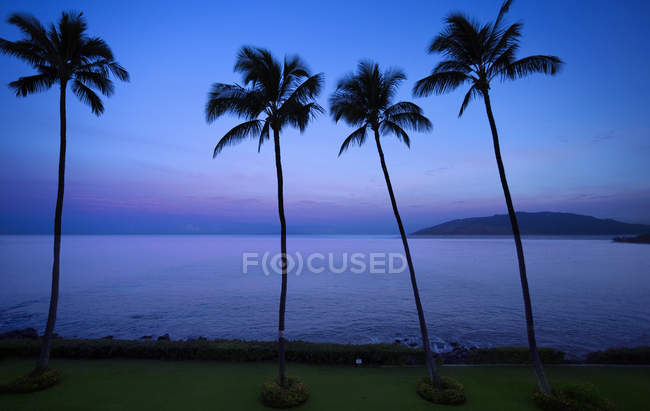 Kamaole One and Two Beach Park; Kihei, Maui, Hawaii, Estados Unidos da América — Fotografia de Stock