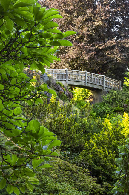Pont traversant un ruisseau dans le parc Queen Elizabeth ; Vancouver, Colombie-Britannique, Canada — Photo de stock