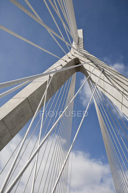 Vista ad angolo basso di un ponte sospeso, Leonard P. Zakim Bunker Hill Bridge, Charles River, Boston, Massachusetts, USA — Foto stock