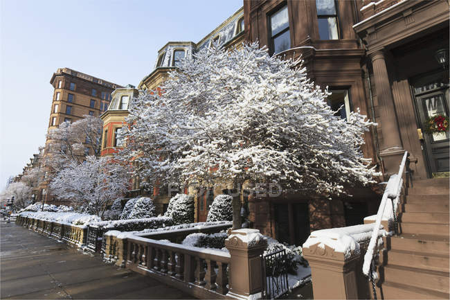 Будинки на Авеню Співдружності після снігового шторму, Бостон, округ Саффолк, штат Массачусетс, Уса — стокове фото