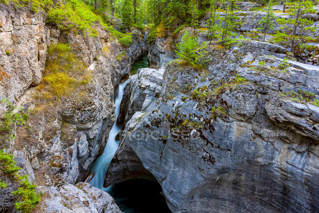 Vista panorâmica da Cachoeira, Parque Nacional Jasper; Alberta, Canadá — Fotografia de Stock