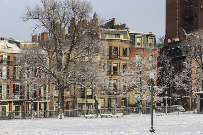 Закритий снігом парк після снігової бурі, Boston Common, Beacon Street, Beacon Hill, Boston, Suffolk County, Massachusetts, Usa — стокове фото