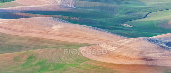 Rolling hills of farmland, Palouse, Eastern Washington; Washington, United States of America — Stock Photo