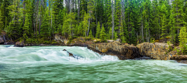 Malerischer Blick auf den smaragdgrünen See und die natürliche Brücke, Yoho-Nationalpark; britische Columbia, Kanada — Stockfoto