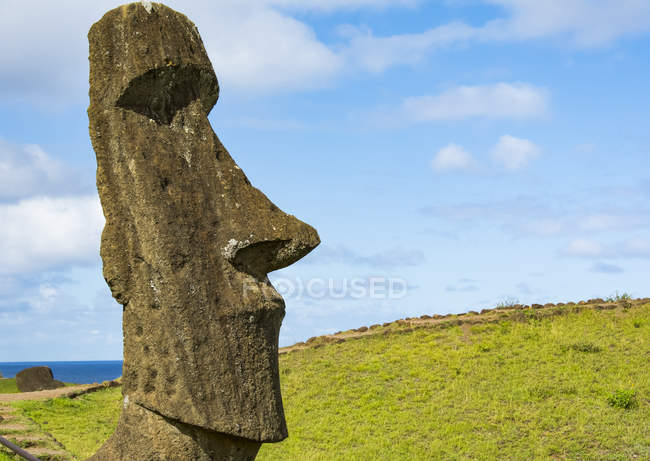 Imagem de close-up mostrando a cabeça de um moai de pé contra um céu azul; Ilha de Páscoa, Chile — Fotografia de Stock