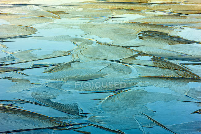 Formation de glace mince à la surface de l'eau — Photo de stock