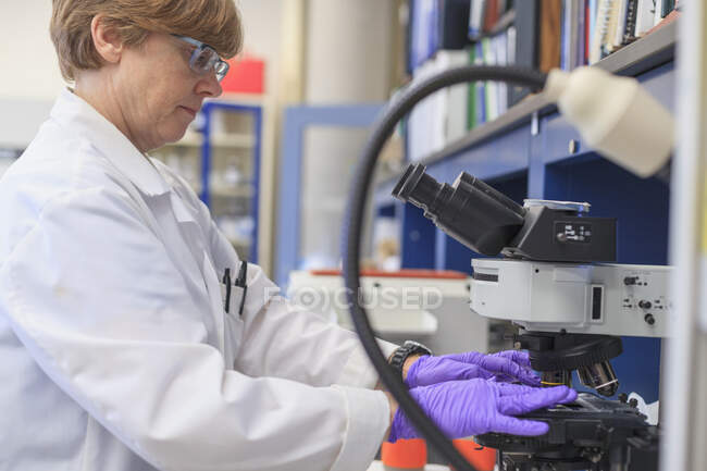 Chimiste de laboratoire plaçant une lame d'échantillon sur un étage de microscope — Photo de stock
