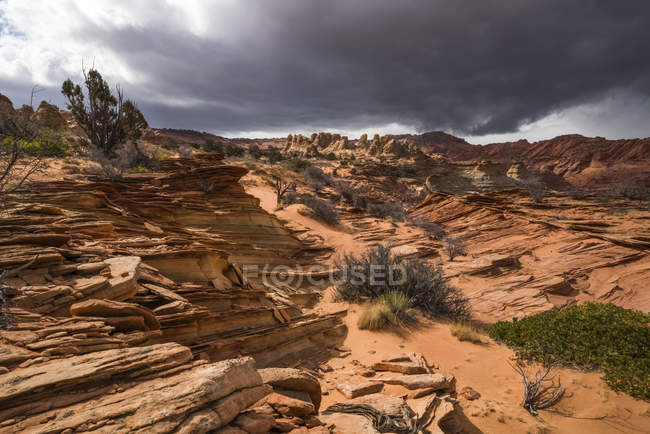 The amazing sandstone and rock formations of South Coyote Butte; Arizona, United States of America — Stock Photo
