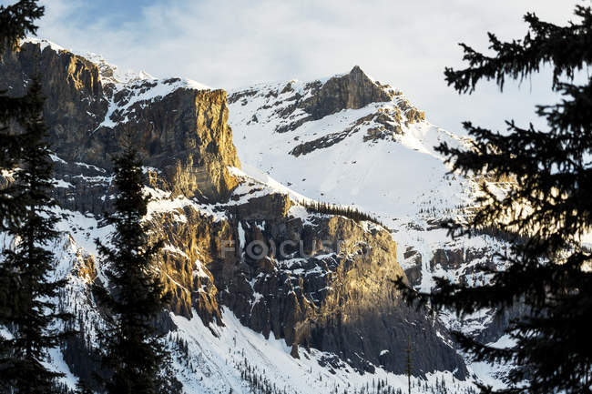 Schneebedeckte Berggipfel eingerahmt von immergrünen Bäumen mit warmem Licht bei Sonnenaufgang; Feld, britische Columbia, Kanada — Stockfoto