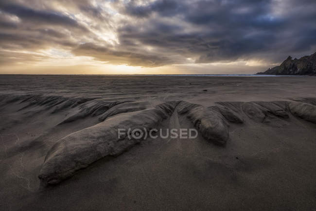 Legni da posta sulla sabbia con bassa marea lungo la costa dell'Oregon; Oregon, Stati Uniti d'America — Foto stock