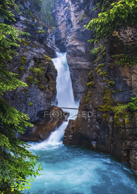 Johnston Canyon, Lower Falls, Banff National Park; Alberta, Canadá - foto de stock