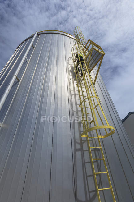 Industrial engineer climbing ladder with safety cage at a power plant — Stock Photo