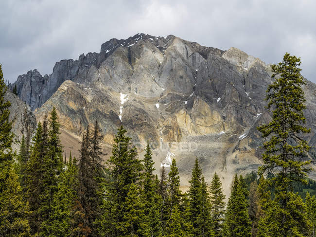 Vue panoramique sur les montagnes du parc provincial Peter Lougheed ; district d'amélioration de Kananaskis, Alberta, Canada — Photo de stock