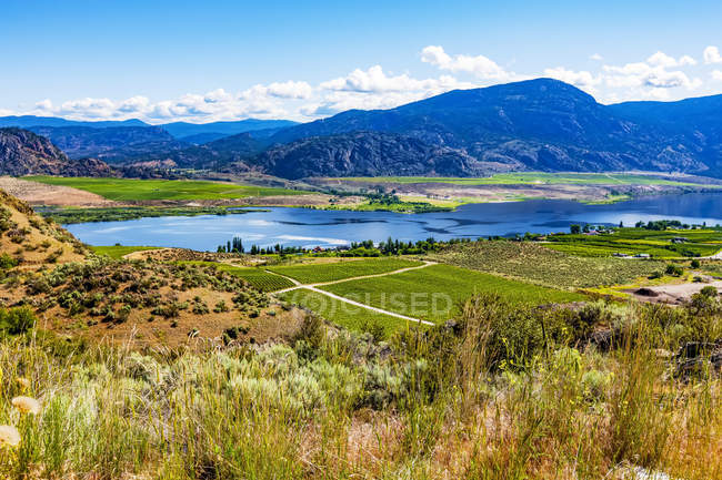 South Okanagan from the top of the hillside and the old sleigh barrel vehicle; British Columbia, Canada — стокове фото