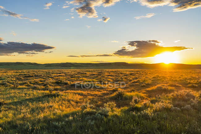 Puesta de sol dorada brillante en el Parque Nacional de los Pastizales; Val Marie, Saskatchewan, Canadá - foto de stock