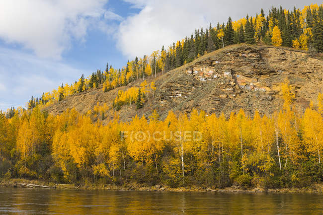Herbstfarben und Graffiti über dem Fluss Salcha; alaska, vereinigte Staaten von Amerika — Stockfoto