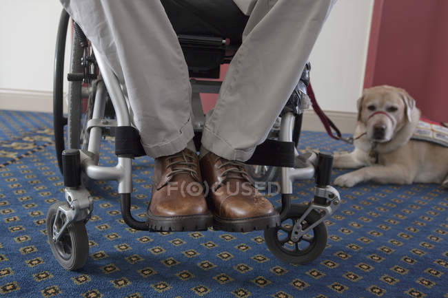 Homem com uma lesão na coluna vertebral numa cadeira de rodas com um cão de serviço à espera de elevador — Fotografia de Stock