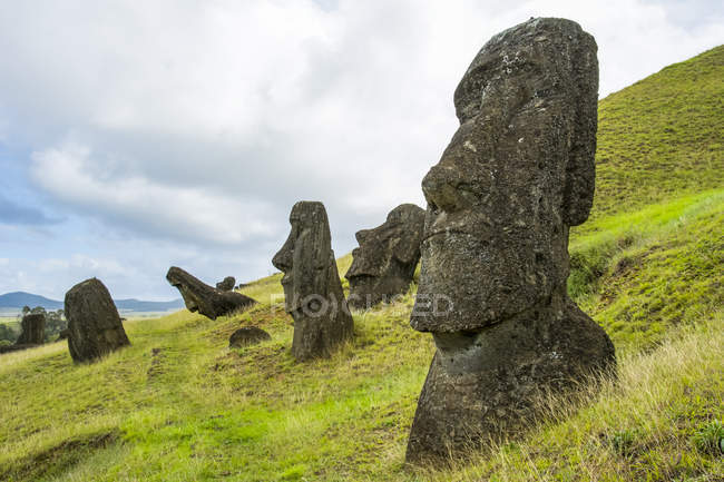 Ein schwacher Pfad führt uns zwischen mehreren Moai-Köpfen, die aus einem grasbewachsenen Hang herausragen, Osterinsel, Chili — Stockfoto