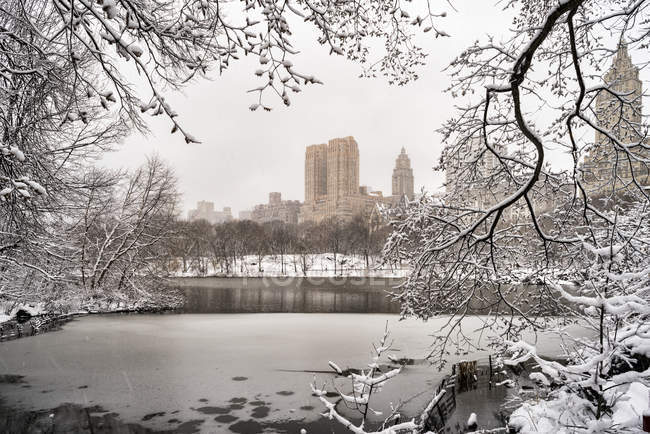 Снегопад в Центральном парке; Нью-Йорк, Нью-Йорк, Соединенные Штаты Америки — стоковое фото