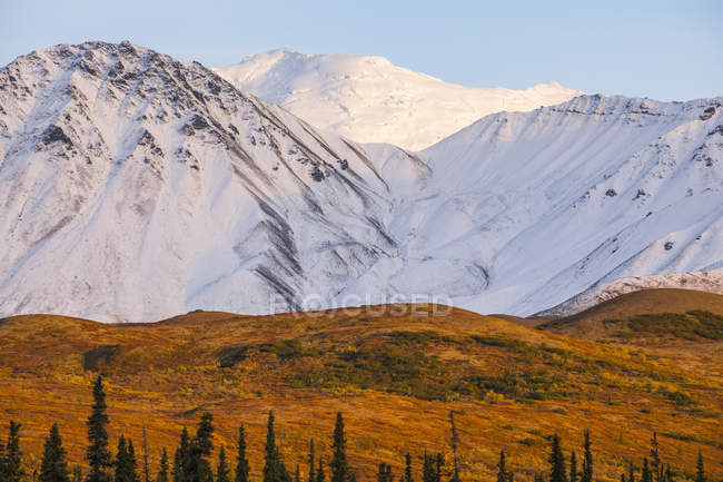 La neige fraîche recouvre les montagnes en automne dans le parc national et réserve de parc national Denali ; Alaska, États-Unis d'Amérique — Photo de stock