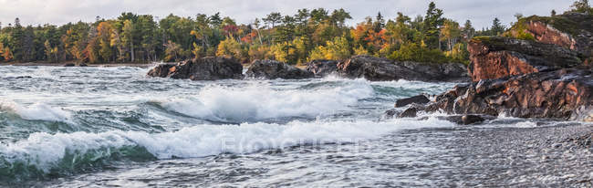Lac Supérieur avec une forêt aux couleurs automnales et des vagues se lavant sur la plage ; Ontario, Canada — Photo de stock