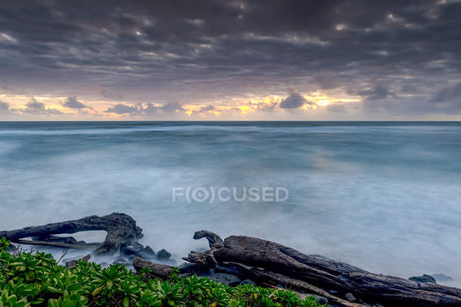Vue panoramique du paysage fascinant à la plage de Kapaa, Kauai, Hawaï, États-Unis d'Amérique — Photo de stock