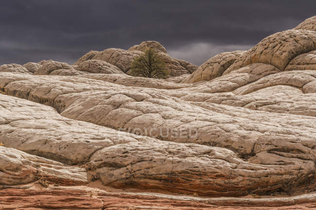Las increíbles formaciones de roca y arenisca de White Pocket; Arizona, Estados Unidos de América - foto de stock