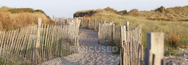 Ограждение на пляже Fred Benson Town Beach, Блок-Айленд, Род-Айленд, США — стоковое фото