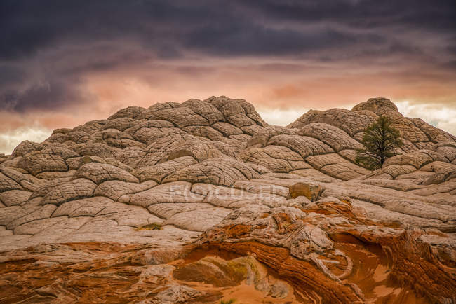 The amazing rock and sandstone formations of White Pocket; Arizona, United States of America — Stock Photo