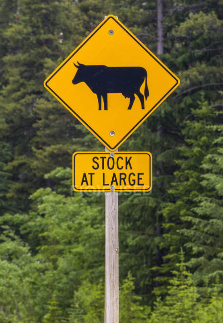 Yellow caution sign on a roadside warning of livestock; Kananaskis Improvement District, Alberta, Canada — Stock Photo