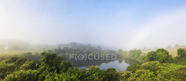 Arcobaleno e nebbia mattutina su uno stagno interno — Foto stock