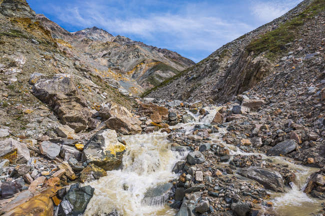Whistler Creek nella catena dell'Alaska orientale, vicino a Black Rapids; Alaska, Stati Uniti d'America — Foto stock