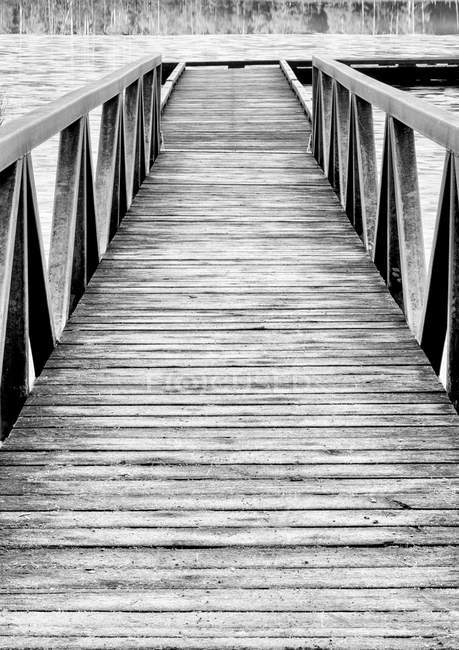 Black and white of a wooden dock leading out to a frozen lake; British Columbia, Canada — Stock Photo