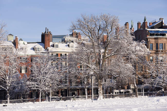 Улица Бикон после зимнего шторма, Бостон, Массачусетс, США — стоковое фото