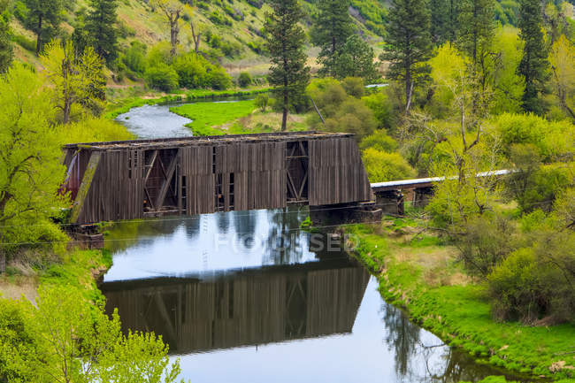 Ponte coperto sul tranquillo fiume circondato da lussureggiante fogliame verde, regione di Palouse; Washington, Stati Uniti d'America — Foto stock