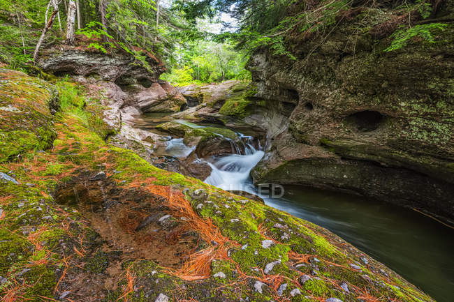 Ruscello a cascata sulla roccia in una foresta; Saint John, New Brunswick, Canada — Foto stock