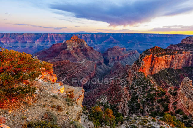 Vista panorámica de North Rim, Gran Cañón; Arizona, Estados Unidos de América - foto de stock