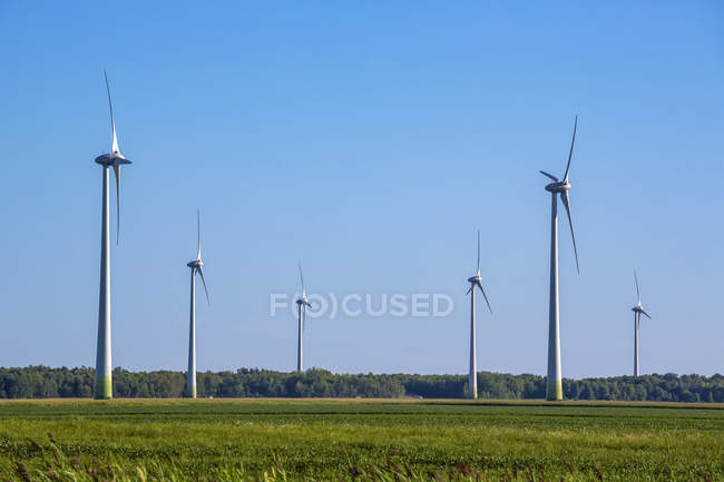 Wind turbines on farmland with a farm field in the foreground; Saint Remi, Quebec, Canada — стокове фото