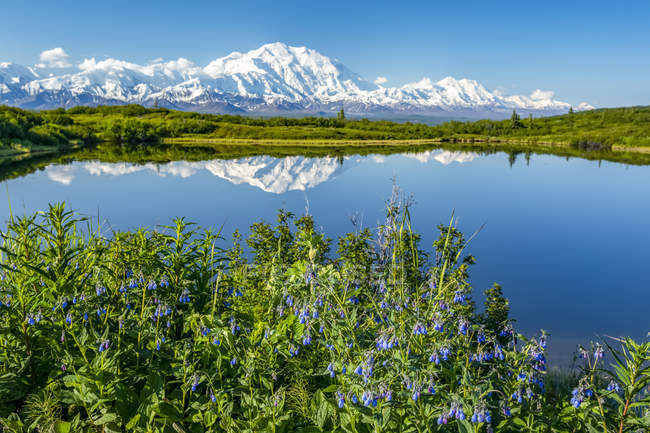 View of Denali and it's reflection in Reflection Pond taken from the park road while driving to Wonder Lake, Denali National Park and Preserve; Alaska, United States of America — Photo de stock
