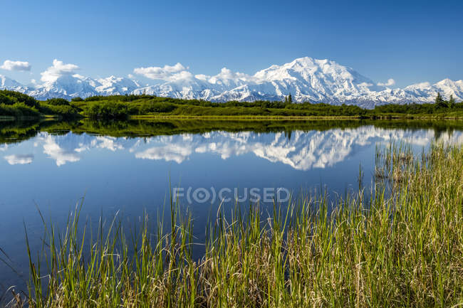 View of Denali and it's reflection in Reflection Pond taken from the park road while driving to Wonder Lake, Denali National Park and Preserve; Alaska, United States of America — стоковое фото