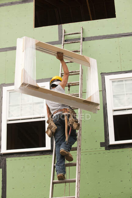 Hispanic carpenter climbing ladder with new window frame — Fotografia de Stock