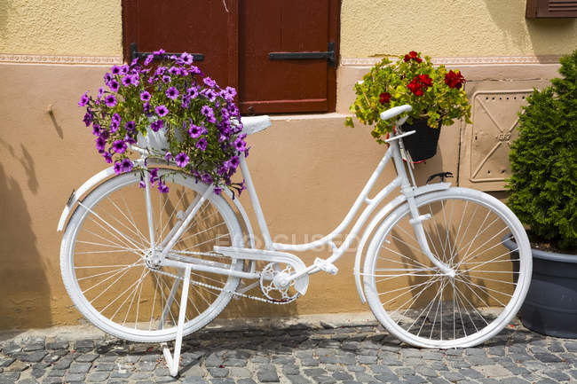 Un vélo décoratif blanc à côté d'un mur avec des fleurs en fleurs dans des pots ; Sibiu, région de Transylvanie, Roumanie — Photo de stock