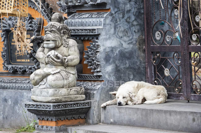 Dog sleeping by a temple; Kamasan, Bali, Indonesia — Stock Photo