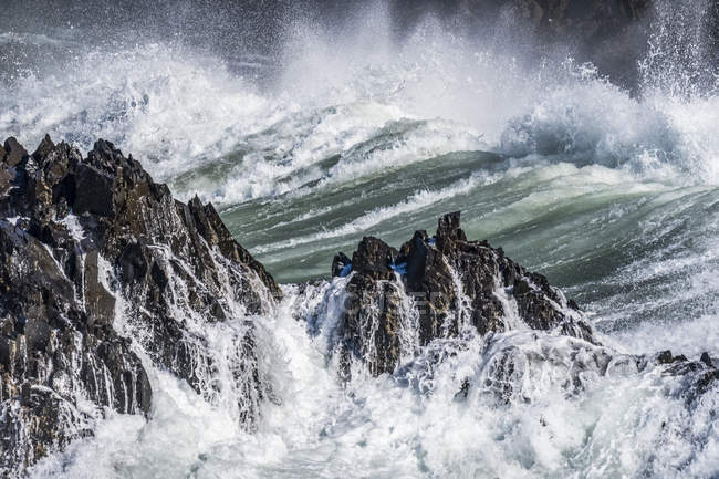Surf break su un affioramento di basalto a Cape Falcon; Manzanita, Oregon, Stati Uniti d'America — Foto stock