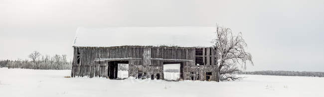 Dilapidated barn covered with snow and ice; Sault St. Marie, Michigan, United States of America — Stock Photo