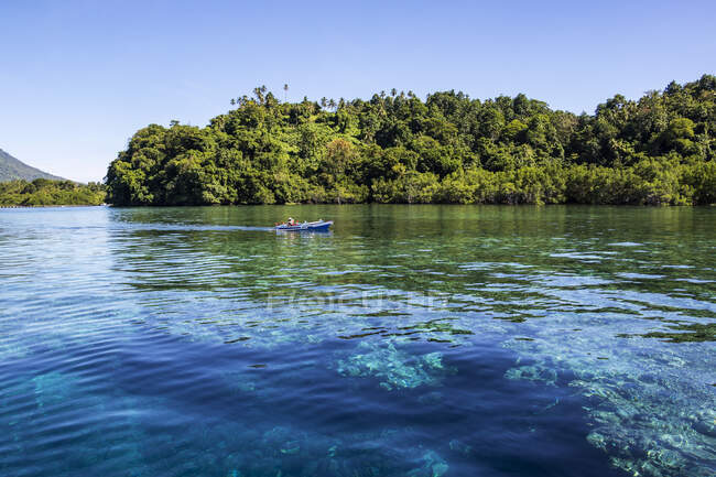 Коралловый риф, Национальный морской парк Бунакен; Северный Сулавеси, Индонезия — стоковое фото