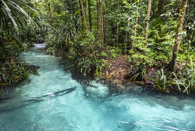 Vista panoramica sul paesaggio di Kali Biru, Papua occidentale, Indonesia — Foto stock