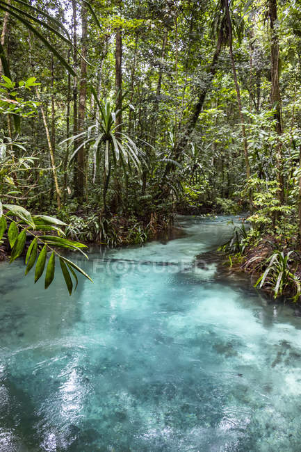 Scenic view of Kali Biru landscape, West Papua, Indonesia — Stock Photo