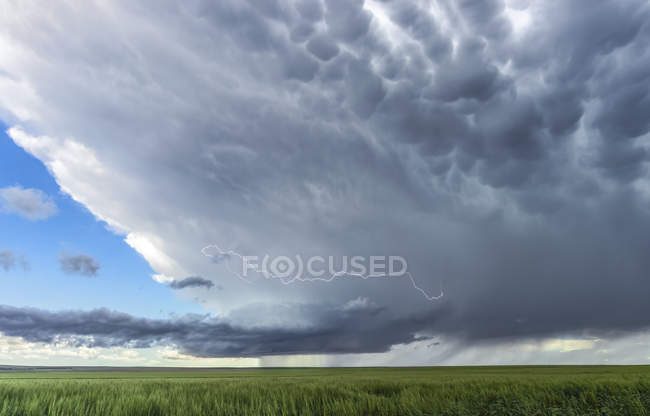 A lightning bolt encircling the updraft of a low precipitation supercell as it drifts across the High Plains; Corado, United States of America — Stock Photo