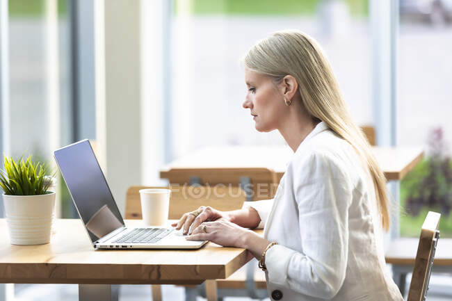 Una mujer de negocios profesional que trabaja en una computadora en una cafetería: Edmonton, Alberta, Canadá - foto de stock